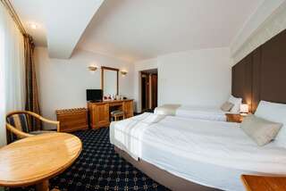 Отель Best Western Bucovina Club de Munte Гура-Гуморулуй Стандартный двухместный номер с 1 кроватью или 2 отдельными кроватями-1